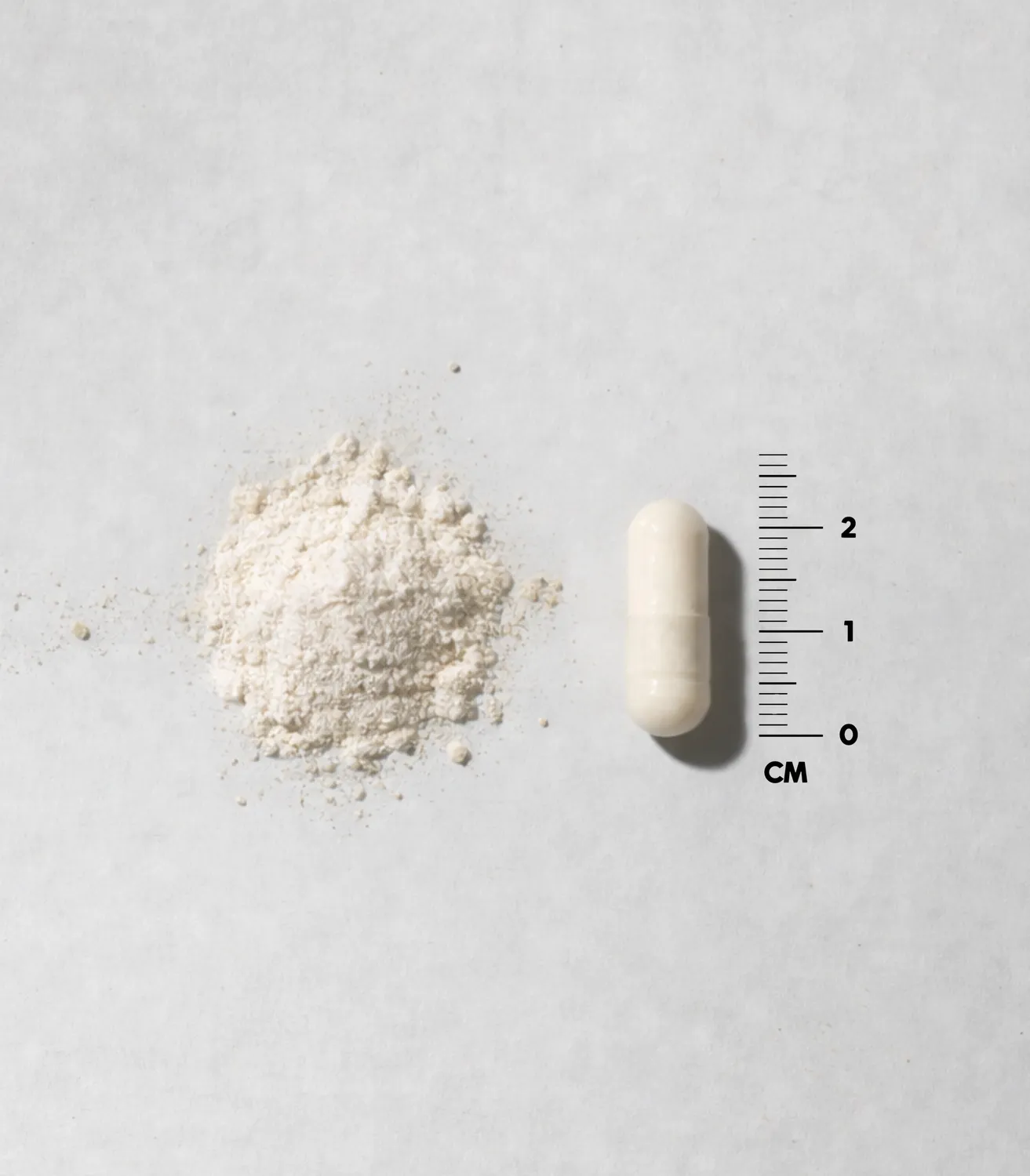 DENSE Bone Matrix knoglekapsler calcium fosfor