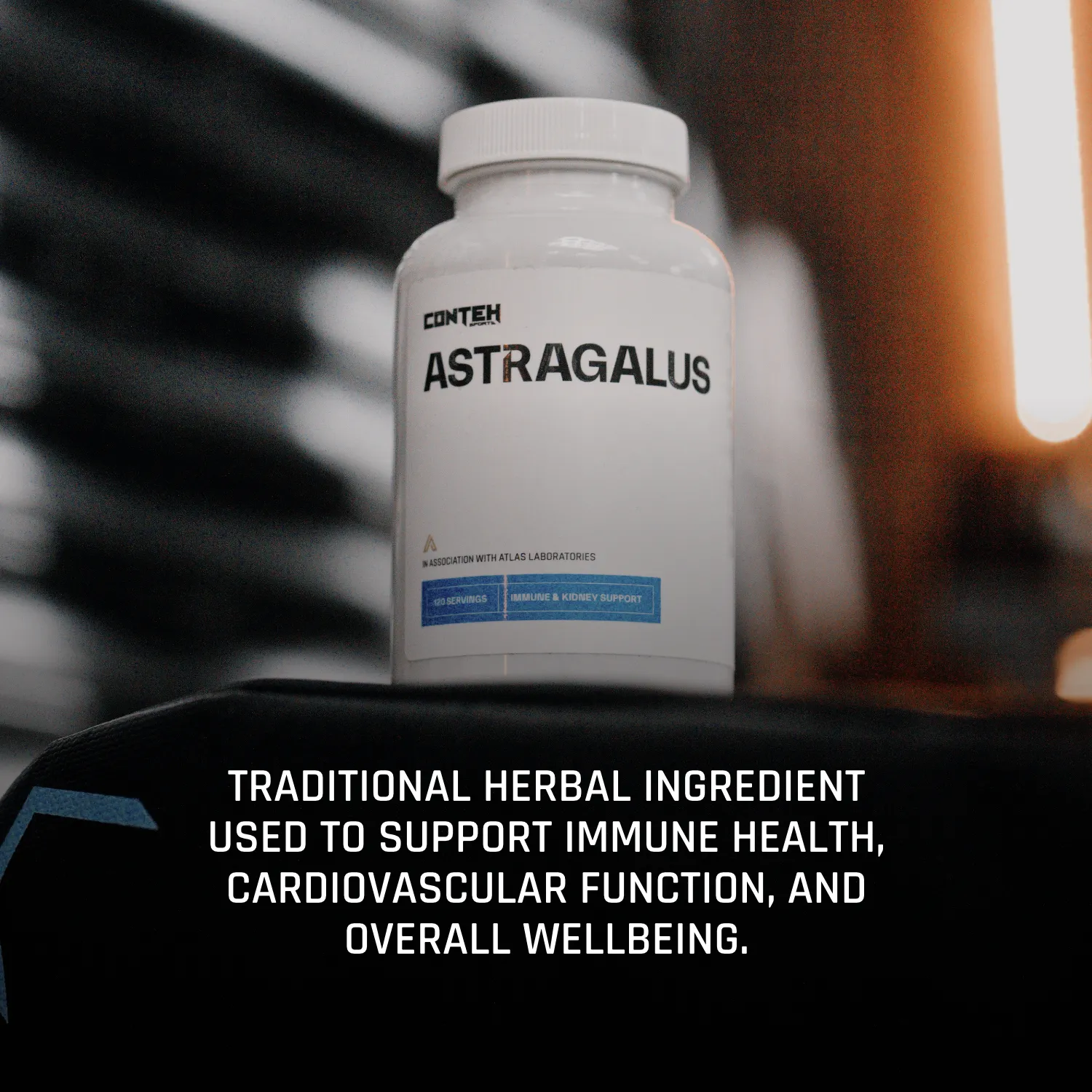 Conteh Sports Astragalus Exclusive kapsler 500 mg urtetilskud