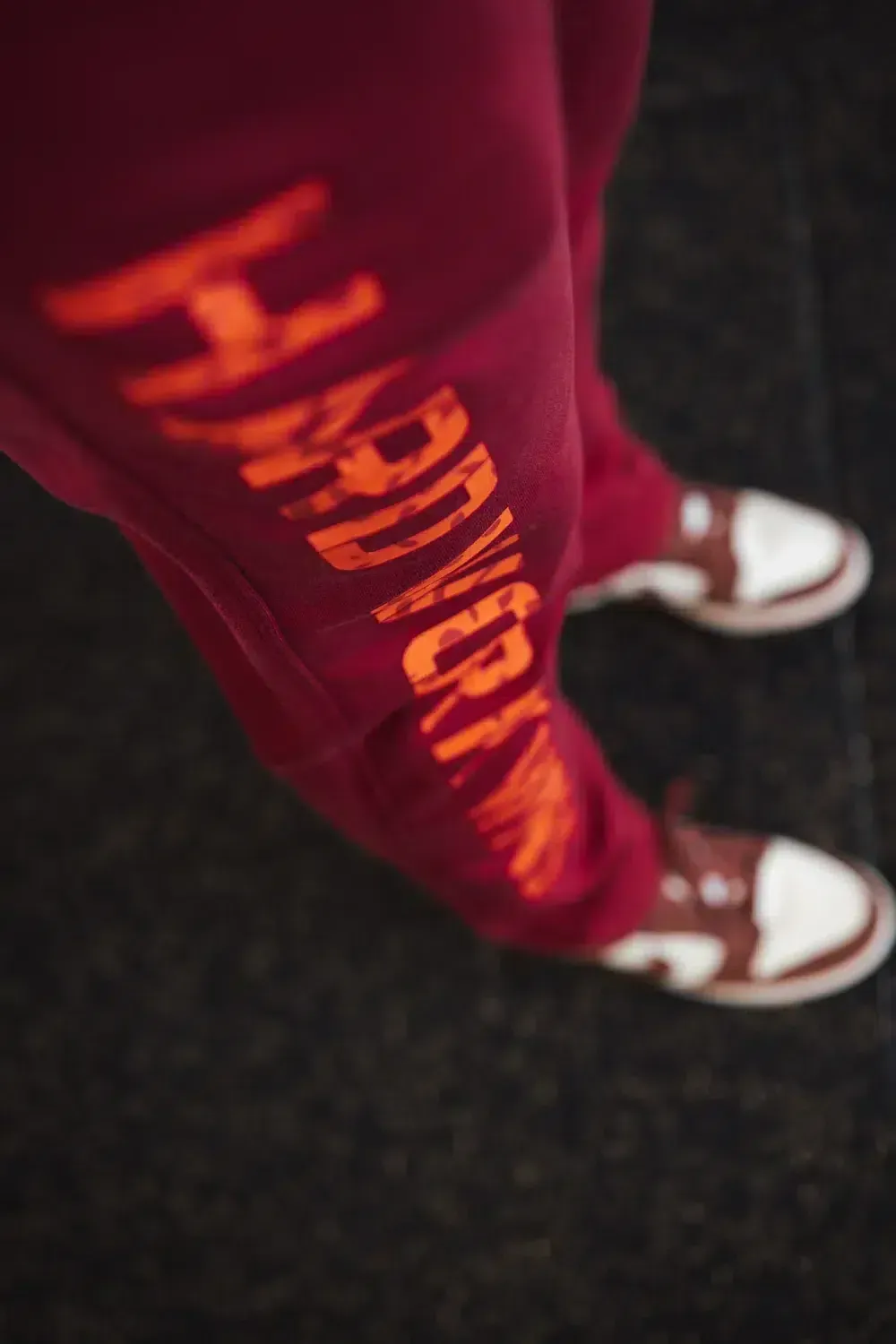 Trained by JP Hard Work Wins joggers deep red bomuld